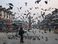 Pigeons search for food near the famous clock tower ''Ganta Ghar'' on a cold winter morning in Srinagar, Jammu and Kashmir, India, on Decemb...