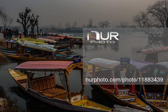 Tourists take a shikara ride on a cold winter morning at Dal Lake in Srinagar, Jammu and Kashmir, India, on December 20, 2024. Srinagar expe...