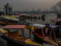 Tourists take a shikara ride on a cold winter morning at Dal Lake in Srinagar, Jammu and Kashmir, India, on December 20, 2024. Srinagar expe...