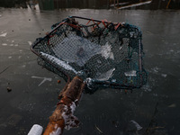 A fisherman shows sheets of ice formed due to cold weather at Dal Lake in Srinagar, Jammu and Kashmir, India, on December 20, 2024. (