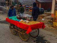 A non-local sells groundnuts and other snacks on a cold winter day in Srinagar, Jammu and Kashmir, India, on December 20, 2024. (