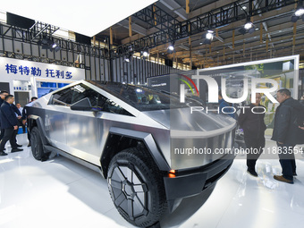 People visit a Tesla Smart concept car on display at the 2024 World Intelligent Manufacturing Conference in Nanjing, China, on December 20,...