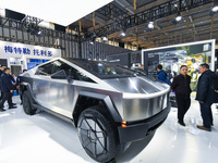 People visit a Tesla Smart concept car on display at the 2024 World Intelligent Manufacturing Conference in Nanjing, China, on December 20,...