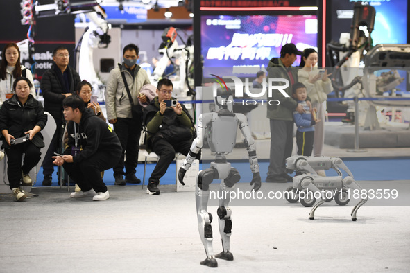 Intelligent dogs and humanoid robots are exhibited at the 2024 World Intelligent Manufacturing Conference in Nanjing, China, on December 20,...