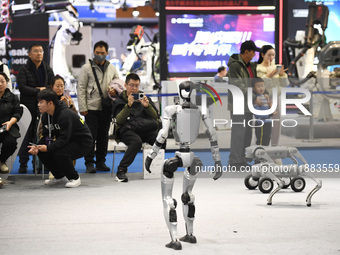 Intelligent dogs and humanoid robots are exhibited at the 2024 World Intelligent Manufacturing Conference in Nanjing, China, on December 20,...