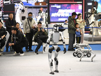 Intelligent dogs and humanoid robots are exhibited at the 2024 World Intelligent Manufacturing Conference in Nanjing, China, on December 20,...