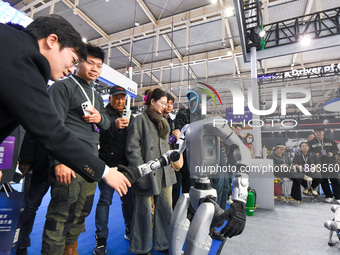 People shake hands with humanoid robots at the 2024 World Intelligent Manufacturing Conference in Nanjing, China, on December 20, 2024. (