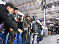 People shake hands with humanoid robots at the 2024 World Intelligent Manufacturing Conference in Nanjing, China, on December 20, 2024. (