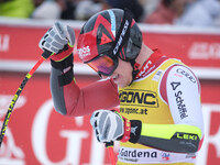 Stefan Babinsky of Team Austria competes during the Audi FIS Alpine Ski World Cup, Men's Super Giant race on Saslong Slope in Val Gardena, B...