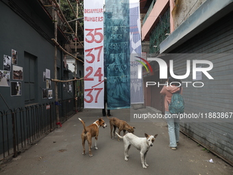 Stray dogs stand while a woman takes a picture with her mobile phone in front of an art installation inside an alley during an open-air art...