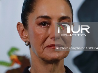 Mexico's President Claudia Sheinbaum speaks during a briefing conference about the repatriation of archaeological artifacts and the growth o...