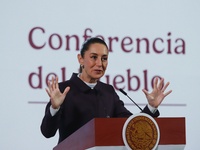 Mexico's President Claudia Sheinbaum speaks during a briefing conference about the repatriation of archaeological artifacts and the growth o...