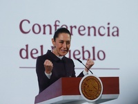 Mexico's President Claudia Sheinbaum speaks during a briefing conference about the repatriation of archaeological artifacts and the growth o...