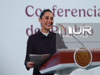 Mexico's President Claudia Sheinbaum speaks during a briefing conference about the repatriation of archaeological artifacts and the growth o...