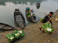 Local vegetable cultivators bring their vegetables to the local wholesale vegetable market after transporting them on a boat in the Tooker B...