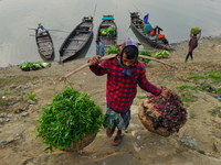 Local vegetable cultivators bring their vegetables to the local wholesale vegetable market after transporting them on a boat in the Tooker B...