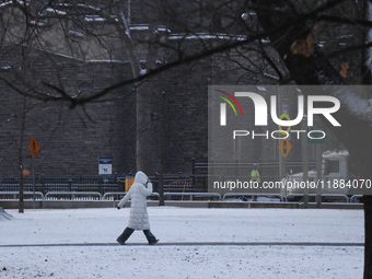 Toronto, in Ontario, Canada, on December 20, 2024, receives a light coating of snow. Around two centimeters of snow accumulate in certain ar...