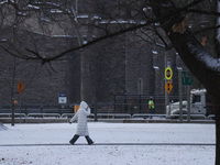 Toronto, in Ontario, Canada, on December 20, 2024, receives a light coating of snow. Around two centimeters of snow accumulate in certain ar...