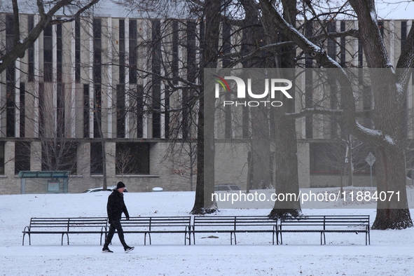 Toronto, in Ontario, Canada, on December 20, 2024, receives a light coating of snow. Around two centimeters of snow are anticipated to accum...