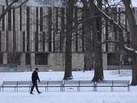 Toronto, in Ontario, Canada, on December 20, 2024, receives a light coating of snow. Around two centimeters of snow are anticipated to accum...