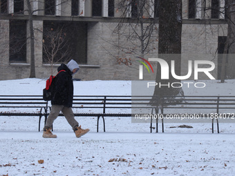 Toronto, in Ontario, Canada, on December 20, 2024, receives a light coating of snow. Around two centimeters of snow are anticipated to accum...