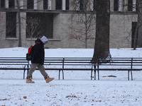 Toronto, in Ontario, Canada, on December 20, 2024, receives a light coating of snow. Around two centimeters of snow are anticipated to accum...