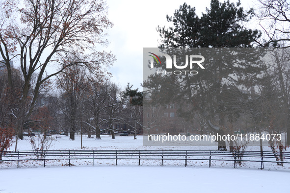 Toronto, in Ontario, Canada, on December 20, 2024, receives a light coating of snow. Around two centimeters of snow are anticipated to accum...