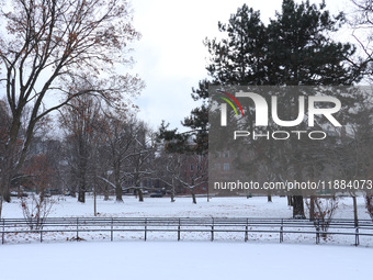 Toronto, in Ontario, Canada, on December 20, 2024, receives a light coating of snow. Around two centimeters of snow are anticipated to accum...