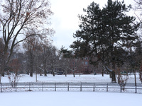 Toronto, in Ontario, Canada, on December 20, 2024, receives a light coating of snow. Around two centimeters of snow are anticipated to accum...