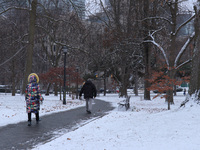 Toronto, in Ontario, Canada, on December 20, 2024, receives a light coating of snow. Around two centimeters of snow are anticipated to accum...