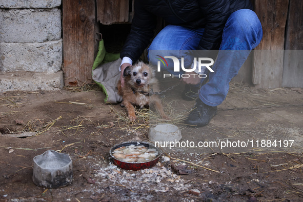 A dog on a chain is seen  outdoors in a village in Lesser Poland Voivodeship, in southern Poland.  