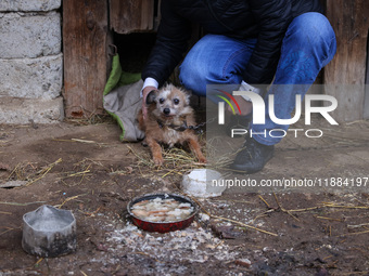 A dog on a chain is seen  outdoors in a village in Lesser Poland Voivodeship, in southern Poland.  (