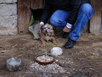 A dog on a chain is seen  outdoors in a village in Lesser Poland Voivodeship, in southern Poland.  (