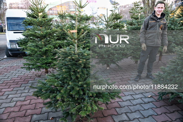 A young man stands among the Christmas trees sold on a local street in Odesa, Ukraine, on December 19, 2024. NO USE RUSSIA. NO USE BELARUS. 