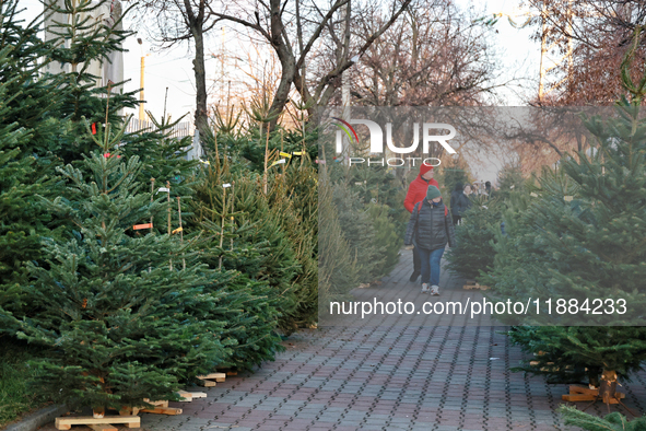 People walk past Christmas trees sold on a local street in Odesa, Ukraine, on December 19, 2024. 