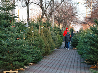 People walk past Christmas trees sold on a local street in Odesa, Ukraine, on December 19, 2024. (