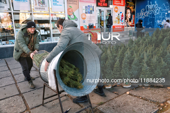 Men pack a Christmas tree in Odesa, Ukraine, on December 19, 2024. 