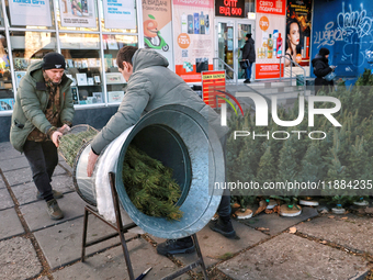 Men pack a Christmas tree in Odesa, Ukraine, on December 19, 2024. (