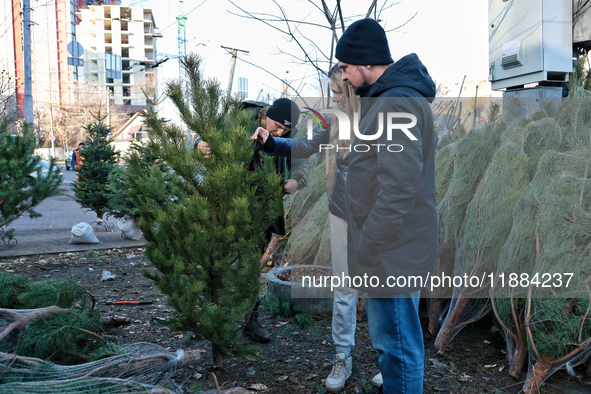 People look at the Christmas tree in Odesa, Ukraine, on December 19, 2024. 