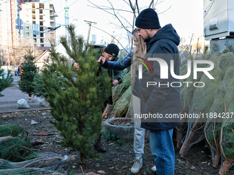 People look at the Christmas tree in Odesa, Ukraine, on December 19, 2024. (