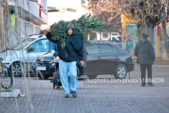 A man carries a Christmas tree in Odesa, Ukraine, on December 19, 2024. NO USE RUSSIA. NO USE BELARUS. 