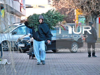 A man carries a Christmas tree in Odesa, Ukraine, on December 19, 2024. NO USE RUSSIA. NO USE BELARUS. (