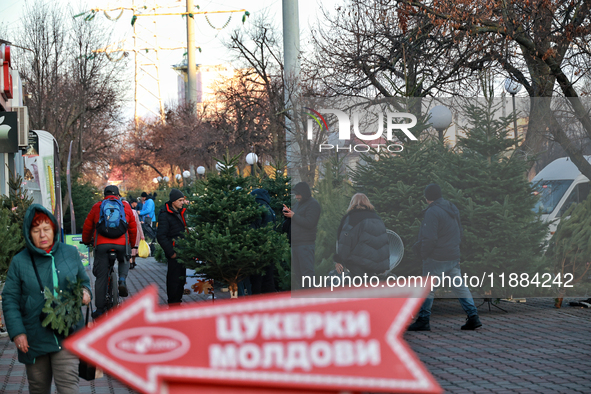 In Odesa, Ukraine, on December 19, 2024, people look at the Christmas trees sold on a local street. 