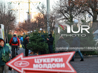 In Odesa, Ukraine, on December 19, 2024, people look at the Christmas trees sold on a local street. (