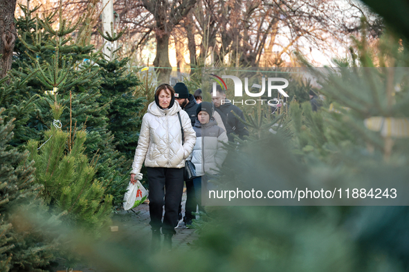 People walk past Christmas trees sold on a local street in Odesa, Ukraine, on December 19, 2024. 