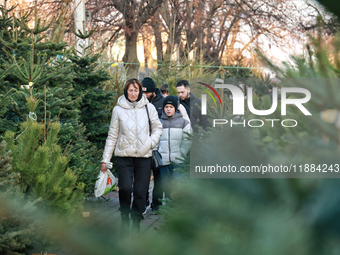 People walk past Christmas trees sold on a local street in Odesa, Ukraine, on December 19, 2024. (