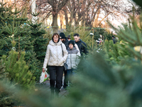 People walk past Christmas trees sold on a local street in Odesa, Ukraine, on December 19, 2024. (