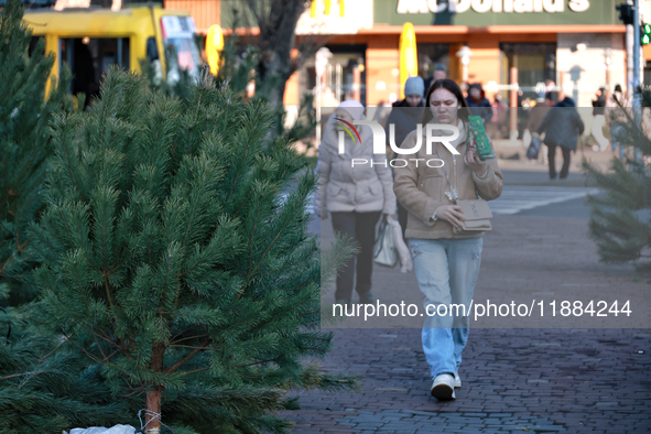 A Christmas tree is sold on a local street in Odesa, Ukraine, on December 19, 2024. 