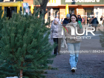 A Christmas tree is sold on a local street in Odesa, Ukraine, on December 19, 2024. (