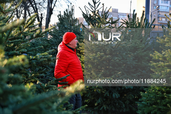 A man stands among the Christmas trees sold on a local street in Odesa, Ukraine, on December 19, 2024. NO USE RUSSIA. NO USE BELARUS. 